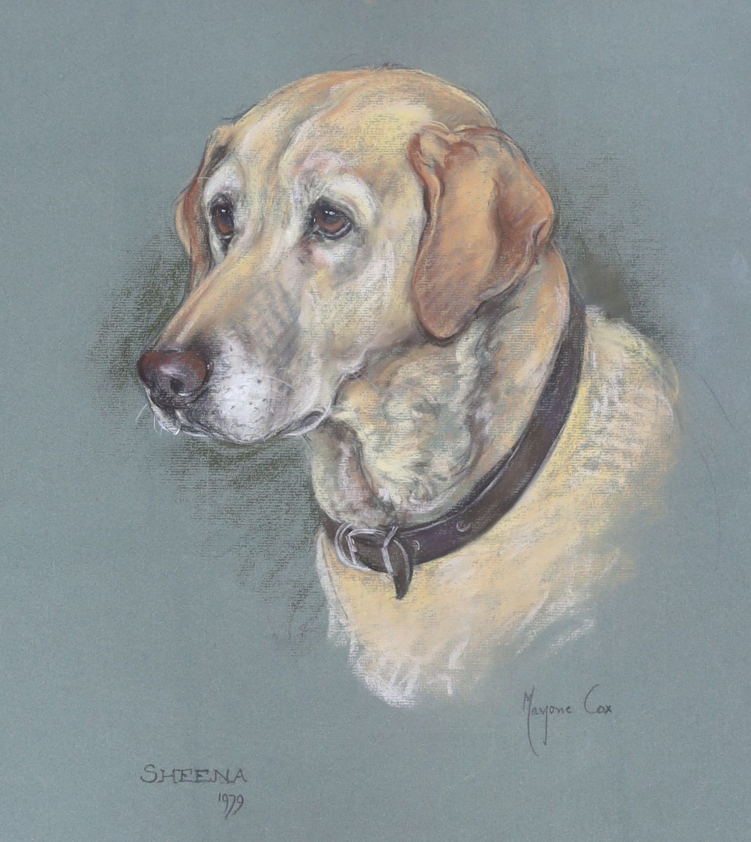 Marjorie Cox (1915-2003), two pastel portraits of dogs, 'Gemma, 1982' a black Labrador Retriever and 'Sheena, 1979' a tan Labrador Retriever, signed and dated 1979/1982, 48 x 43cm